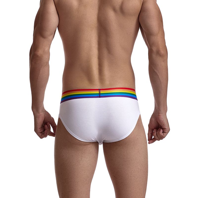 Rainbow Waistband Pride Men's Comfort Briefs