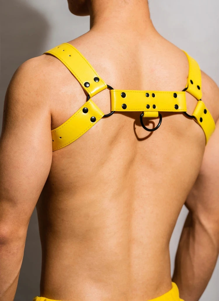 Halter Passion Harness