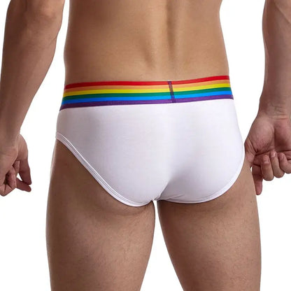 Rainbow Waistband Pride Men's Comfort Briefs