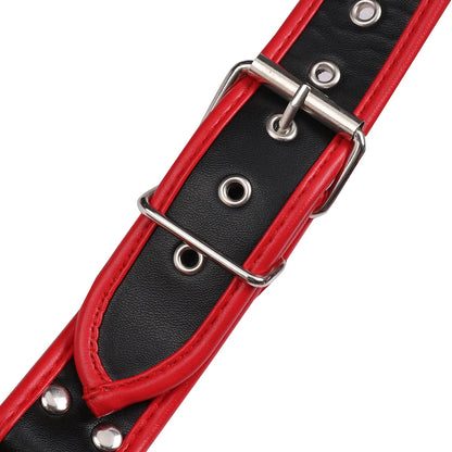 Black & Red Adjustable Harness