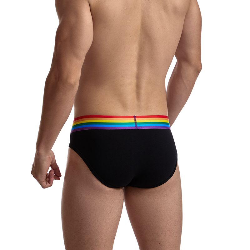 Rainbow Waistband Pride Men's Comfort Briefs
