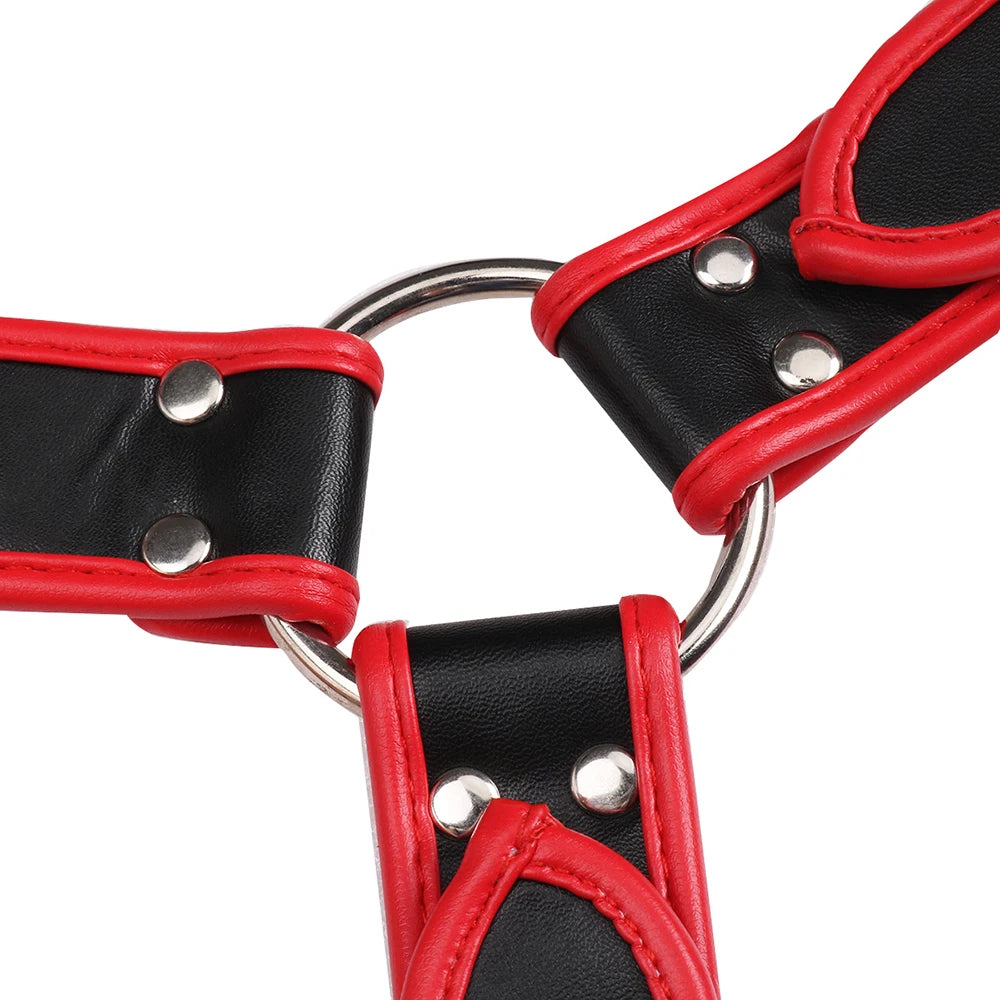 Black & Red Adjustable Harness